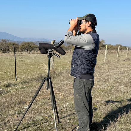 A birdwatcher using binoculars beside a spotting scope in grassland