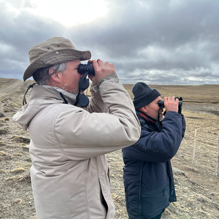 Two birdwatchers scanning open country with binoculars