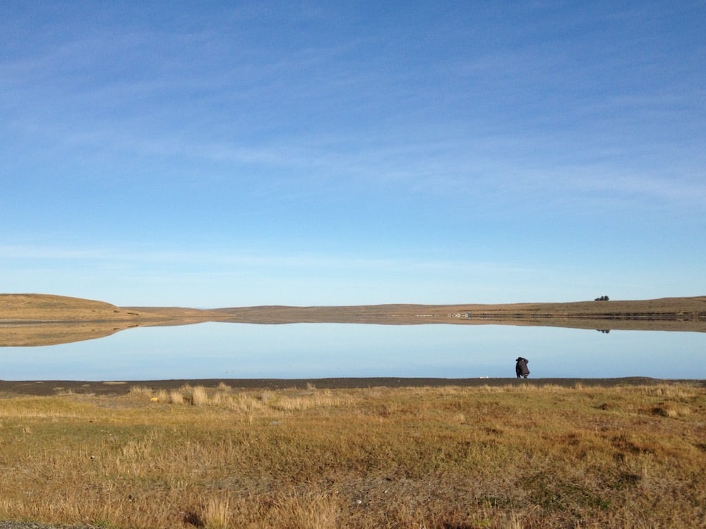A visitor at the edge of a calm lake surrounded by open steppe