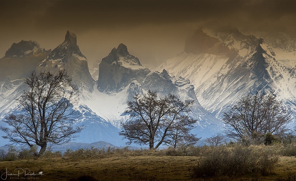 Snow-covered peaks of Torres del Paine above bare trees