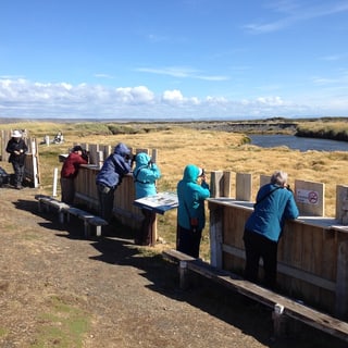 Visitors watching wildlife from wooden viewing screens beside a stream
