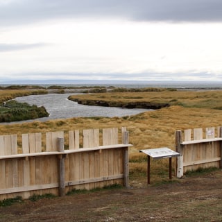 Wooden viewing screens overlooking the stream and penguin colony at King Penguin Park