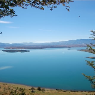 Blue water and wooded shores of Last Hope Fjord seen from a hillside