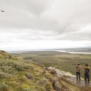 Two birdwatchers scanning the sky from a rocky hillside above the lakes at Palomares