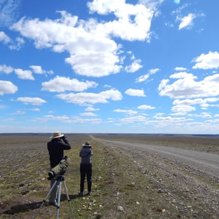 Birdwatchers using binoculars beside a spotting scope on an open steppe road