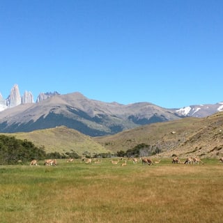 The towers of Torres del Paine rising beyond an open valley